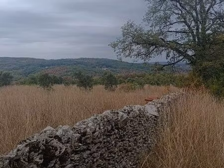 terrain truffier - 3.83ha - thedirac