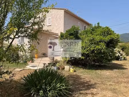 terra immobilier solenzara