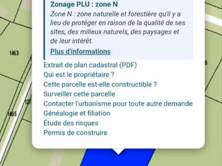 terrain boisé