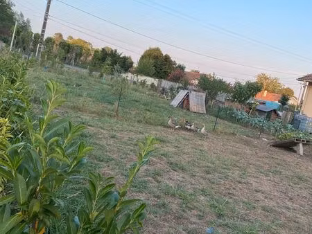 terrain constructible