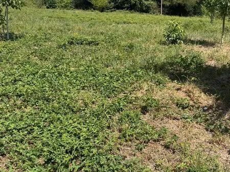 terrain constructible 3 maisons