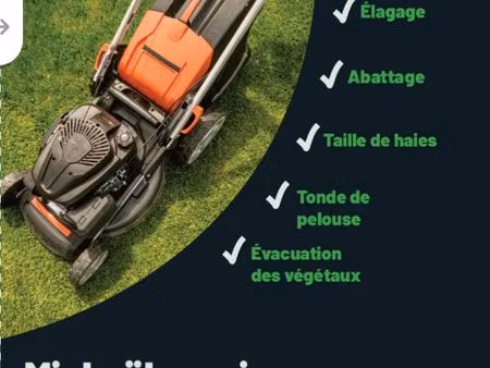services