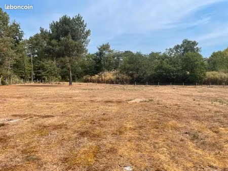 terrain en zone naturelle