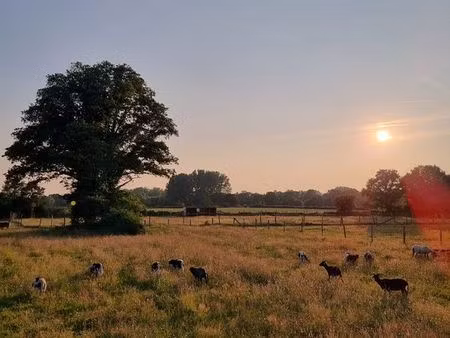 ? à transmettre – ferme pédagogique reconnue en loire-atlantique (44)