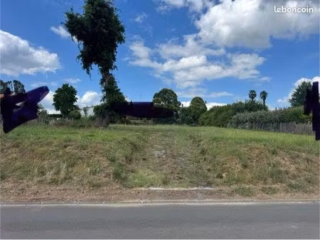 terrain constructible