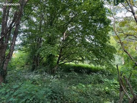 terrain 720 m² saumur