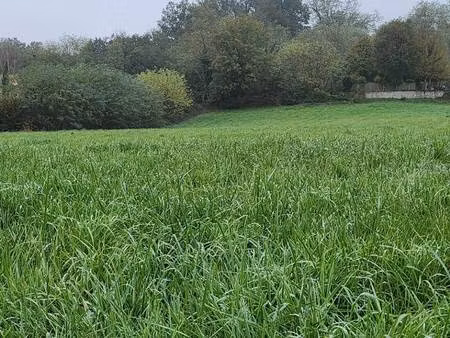 terrain constructible à vendre