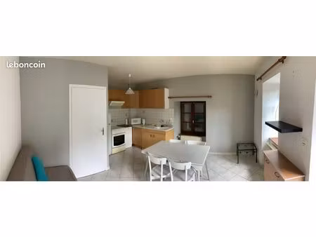 grand t2 à louer 3 km d’yssingeaux (la terrasse)