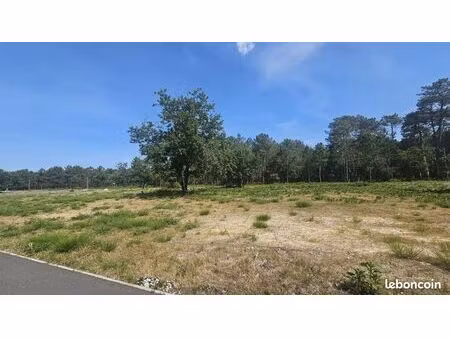 terrain 1 144 m² vendays montalivet