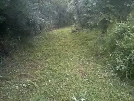 bois et prairie