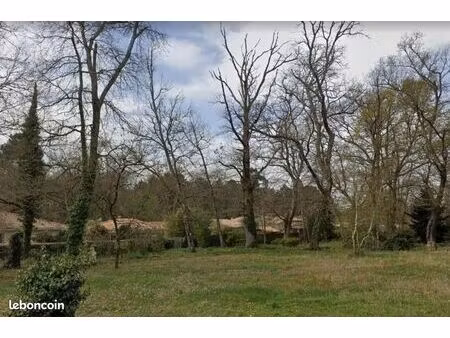terrain 800 m² leognan