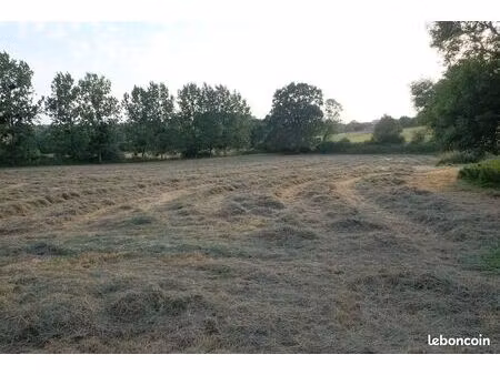 terrain agricole  champ