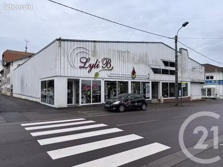immeuble 1 520 m² jarny