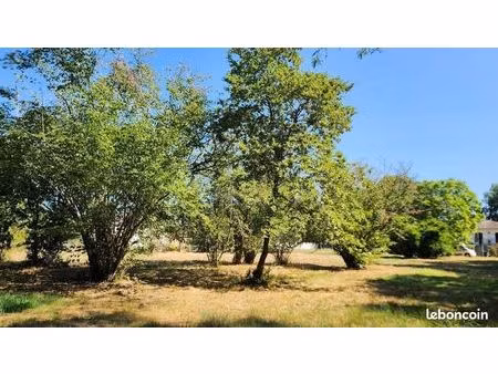 terrain 980 m² gradignan