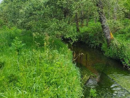 terrain  loisir  foret  prairie
