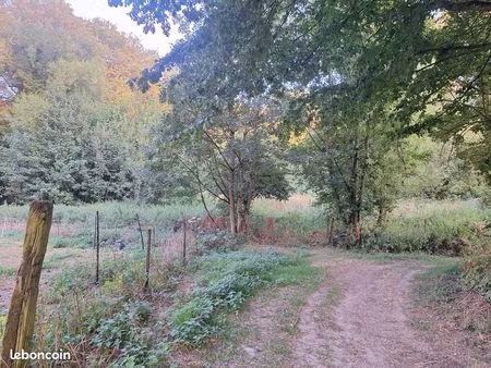 pâture moitié boisée  le long d'un cour d'eau  au milieu d'un écrin de verdure