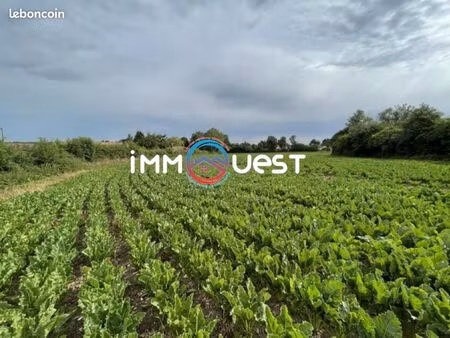 terrain 4 682 m² bouquehault