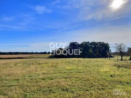 terrain à vendre