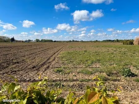 terrain 1 000 m² locon