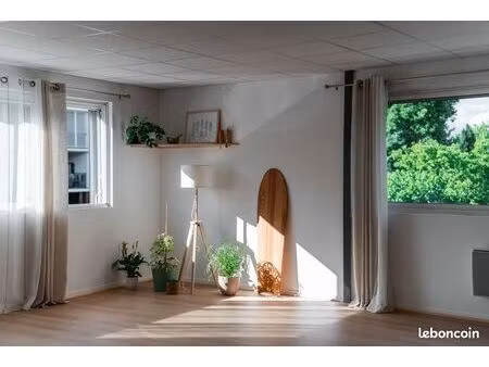 loue local professionnel
