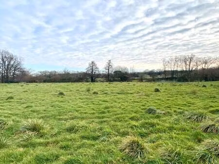 terrain à vendre