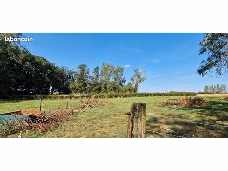 parcelle de bois a vendre