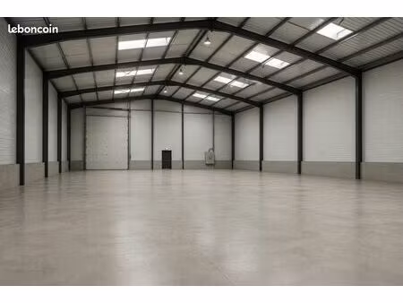 local pro bureau + stockage 300m²