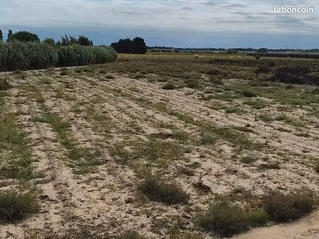 terrain agricole