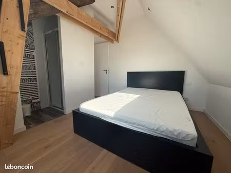 sans frais d’agence t2 meublé 43 m2 refait à neuf à 50 m de la place travot