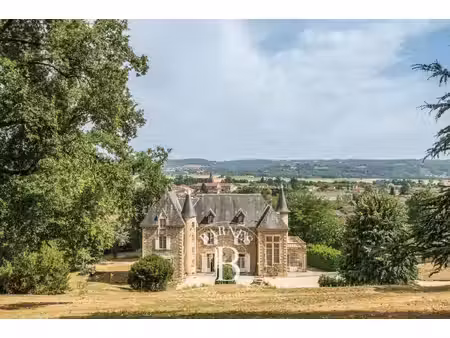 à vendre  château marcilloles 12 chambres - 680 m² - 1 290 000 €