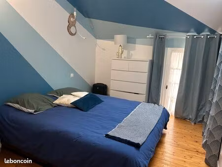 chambre dans bel appartement hyper centre saumur