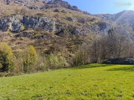 terrain 1 689 m² campan