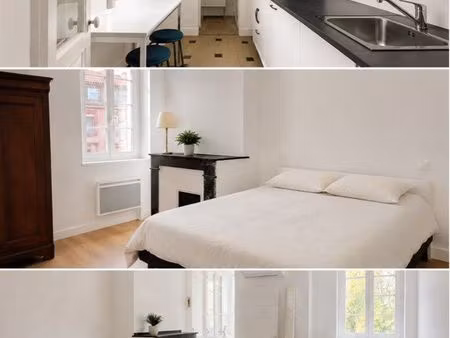 magnifique appartement traversant bord de garonne