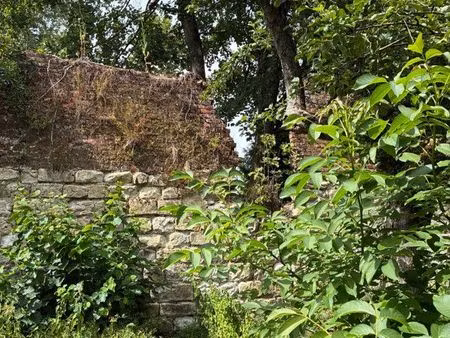 cherche terrain maison ruine