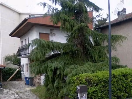location maison toulouse