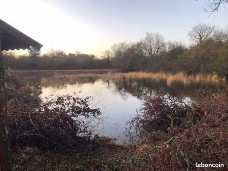 étang mare plan d eau 1200m2 sur environ 5900m2 pour chasse ou loisir