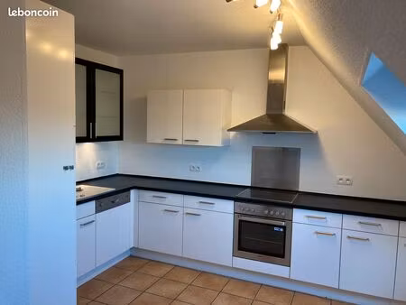 bel appartement duplex haguenau