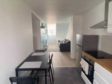 appartement 1 pièce 41 m²