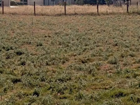 terrain constructible