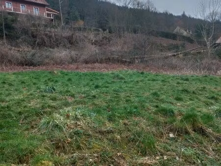 terrain fouday