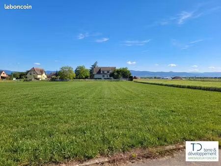 terrain de 349 m² à niederhergheim (haut-rhin)