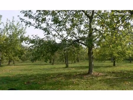 recherche verger (achat / location)