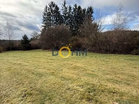 terrain 881 m² saint-pal-de-mons