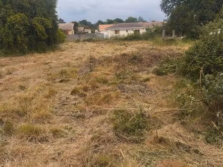 terrain constructible