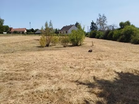 terrain constructible
