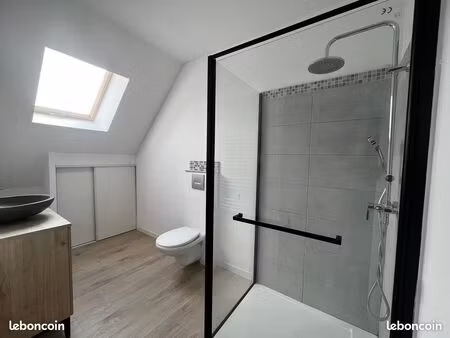 appartement 2 pièces centre ville - 50 m² - 595