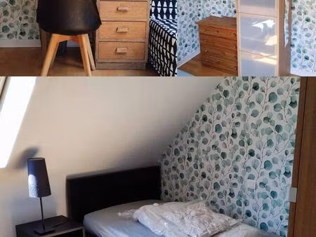 colocation à louer