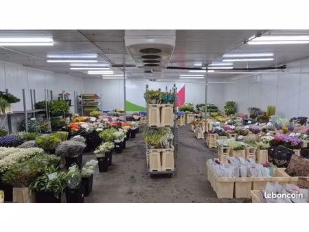 location chambre froide positive