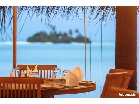 restaurant 752 m² le lavandou