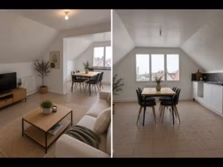 appartement 1 chambre